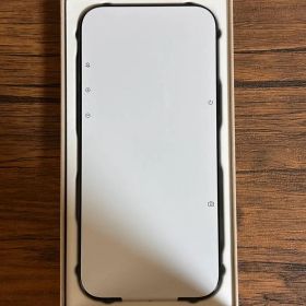 iPhone16ProMax 256GB