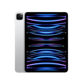 iPad Pro 11インチ 第4世代 Wi-Fi 1TB 2022年秋モデル MNXL3J/A [シルバー]