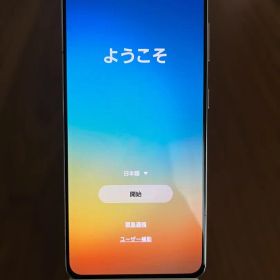 docomo Galaxy S21 5G 本体