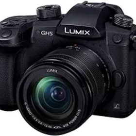 パナソニック ミラーレス一眼カメラ ルミックス GH5 レンズキット 標準ズームレンズ付属 ブラック DC-GH5M-K
