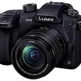 【中古】パナソニック ミラーレス一眼カメラ ルミックス GH5 レンズキット 標準ズームレンズ付属 ブラック DC-GH5M-K