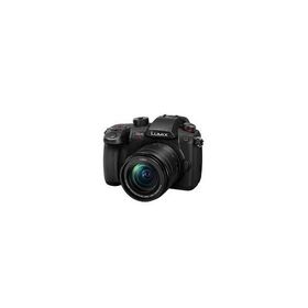 パナソニック(Panasonic) LUMIX(ルミックス) ミラーレス一眼カメラ GH5II 12-60mm標準ズームレンズキット DC-GH5M2M 【パナソニック家電製品正規取扱店】