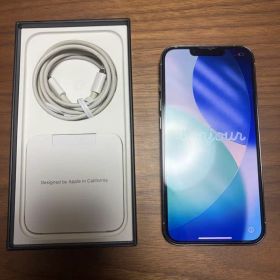 Apple iPhone 13 本体 充電ケーブル付き