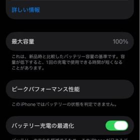 Apple iPhone 13 Pro 256GB バッテリー100%