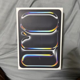 11インチiPad Pro (M4) 512GB Wi-Fi スペースグレー