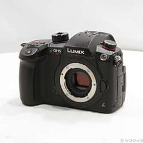 〔中古品〕 DC-GH5S ボディ〔中古品〕 DC-GH5S ボディ