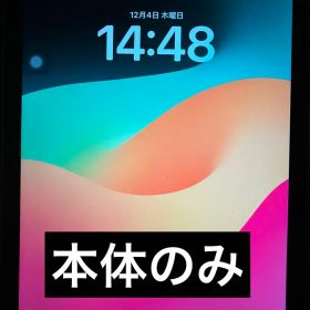 Apple iPad第6世代 Wi-Fi+Cellularモデル A1954