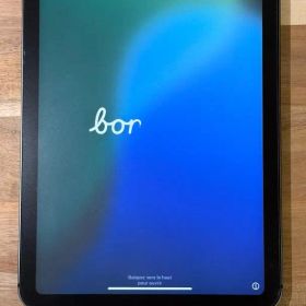 【米国購入】iPad mini 6 64GB Wi-Fi+Cellular 美品