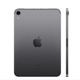 ipad mini 256GB （第6世代） apple pencil付き
