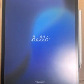 iPad Pro 12.9インチ 第4世代 Wi-Fiモデル 256GB