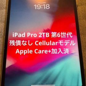 iPad Pro 2TB 第6世代 Cellular Apple Care+付