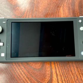 Switch Lite 任天堂 (ケース付)