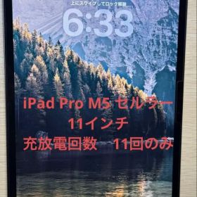 iPad Pro m5 11インチ 256GB Wi-Fi + Cellular