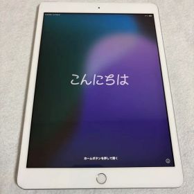iPad 第7世代 Wi-Fi + Cellular シルバー バッテリー99%