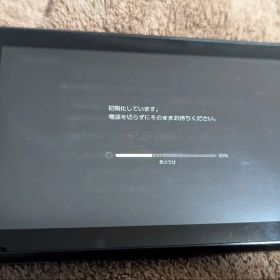 Nintendo Switch 2017年製 未対策機