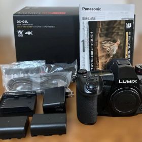 【価格相談可】LUMIX DC-G9 ミラーレス一眼 マイクロフォーサーズ
