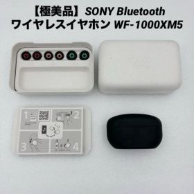 【極美品】SONY Bluetooth ワイヤレスイヤホン WF-1000XM5