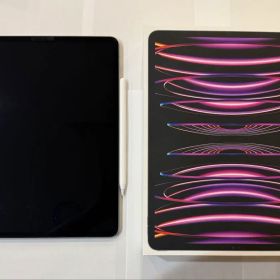 12.9 iPad Pro 256GB 6世代 Apple Pencil2付