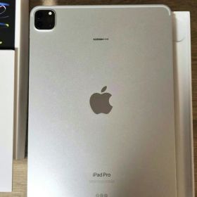 iPad pro 11ーinch(第４世代) 256G WiFi