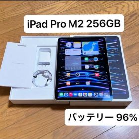iPad Pro 11インチ M2チップ（第4世代）シルバー 256GB