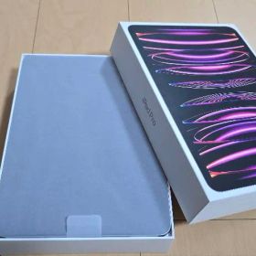 【極美品】iPadPro 11インチM2 128GB スペースグレイ Wi-Fi