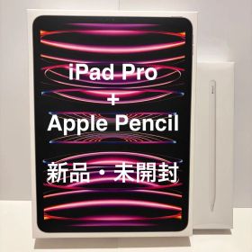 iPad Pro 11インチ 256GB 第4世代 Wi-Fi アップルペンシル