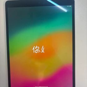 iPad Pro 10.5インチ Wi-Fi 256GB MPDY2J/A