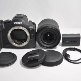 シャッター数1000回！Canon キャノン EOS R6 Mark II RF24-105 IS STMレンズキット