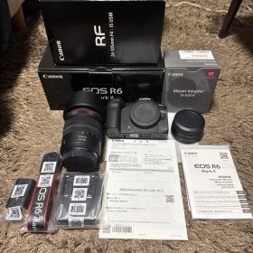 Canon EOSR6MarkII RF24-105mmF4 L IS SM