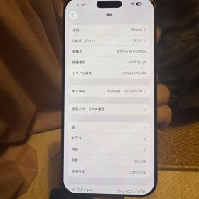 海外版 iPhone 16 Pro Max 256GB，すべてのパーツが純正