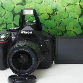 【美品】Wifi搭載⭐️自撮りOK ニコンD5300 2416万画素 標準レンズ