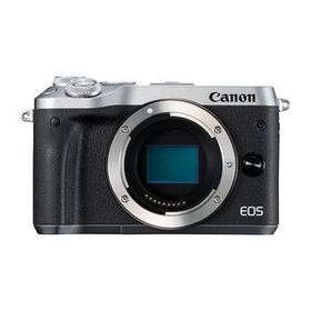 中古 １年保証 美品 Canon EOS M6 ボディ EVFキット シルバー