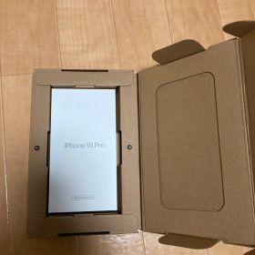 Apple iPhone 16 Pro 本体