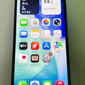 美品！iPhone 13 Pro 256GB アルパイルグリーン 100％