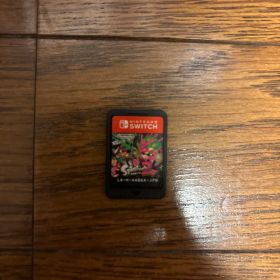 スプラトゥーン2 Splatoon 2 Nintendo Switch ソフト