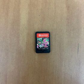 スプラトゥーン2Nintendo Switchカセット