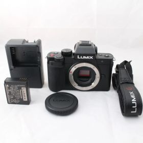 590★美品・ショット数6368回★ルミックス LUMIX DC-G100D