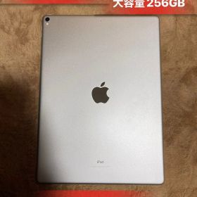iPad Pro 12.9インチ 第2世代 Wi-Fiモデル大容量 256GB