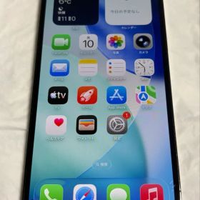 【動作確認済】Apple iPhone 12 Pro Max/128GB