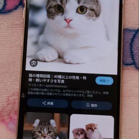 LG V60 ThinQ 5G L-51A 美品