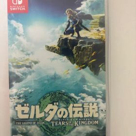 ゼルダの伝説 ティアーズ オブ ザ キングダム