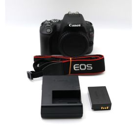 キヤノン(Canon)の☆美品【Canon】EOS Kiss X9 ボディ キャノン キヤノン(デジタル一眼)