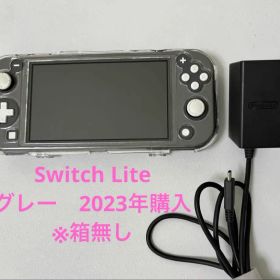 Nintendo Switch Lite グレー ※箱無し 2023年購入