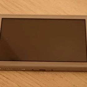 Nintendo Switch Lite ポケモンコラボ（ジャンク品）