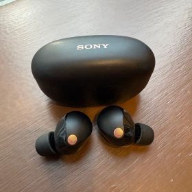 WF-1000XM5 中古 11,200円 | ネット最安値の価格比較 プライスランク