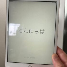 iPad mini 3 16GB MGYR2J/A SIMフリー