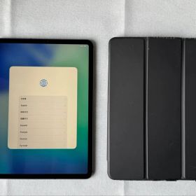 iPad pro 11インチ 第2世代 128GB cellular+Wi-Fi