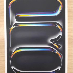 【美品】iPad Pro11インチM4 256GB バッテリー100%