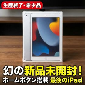 希少・新品未開封】iPad 第9世代 256GB Wi-Fi+Cellularモデル（シルバー ）