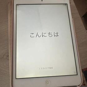 iPad mini シルバー カバー付き